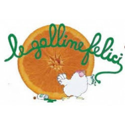 Mandarines Satsuma -...