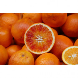Oranges Sanguines...